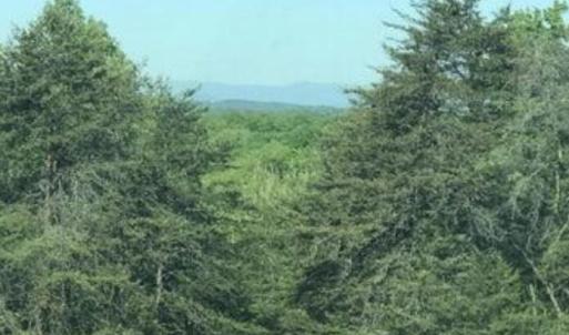 Screenshot 2025-07-07 at 9.17.28PM