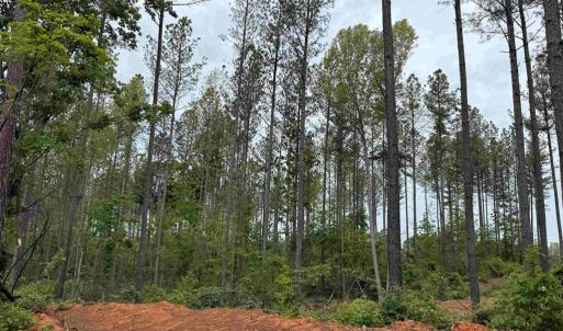 Photo #2 of WEST RIVER ROAD (TRACT: JR SADIE FLANAGAN-2), FORK UNION, VA 88.5 acres