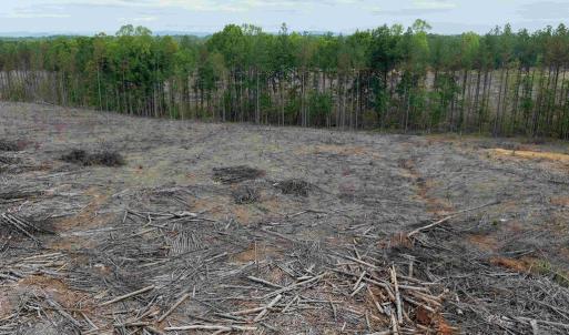 Photo #6 of WEST RIVER ROAD (TRACT: JR SADIE FLANAGAN-2), FORK UNION, VA 88.5 acres