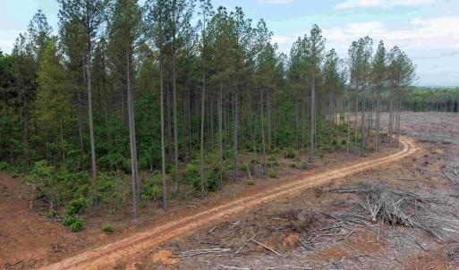 Photo #7 of WEST RIVER ROAD (TRACT: JR SADIE FLANAGAN-2), FORK UNION, VA 88.5 acres