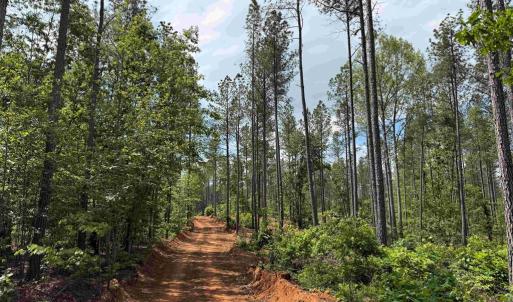 Photo #10 of WEST RIVER ROAD (TRACT: JR SADIE FLANAGAN-2), FORK UNION, VA 88.5 acres