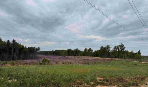 Photo #11 of WEST RIVER ROAD (TRACT: JR SADIE FLANAGAN-2), FORK UNION, VA 88.5 acres