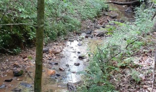 lot 8 Fescue Cir creek