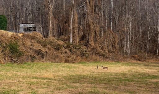 BHT--_DSC7152