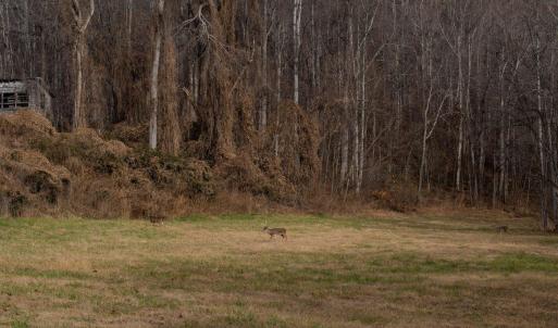 BHT--_DSC7155
