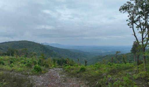 DJI_0826