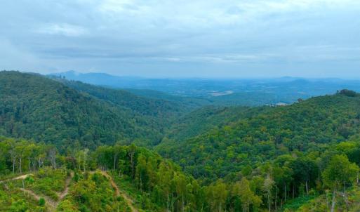 DJI_0828