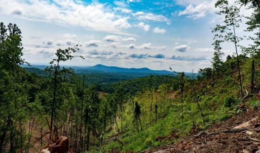 Cabin-Property--_DSC3048