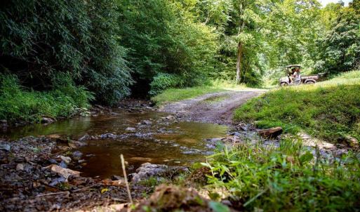 Cabin-Property--_DSC3075