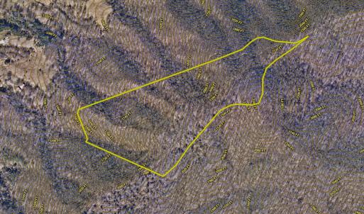 Zola aerial 3
