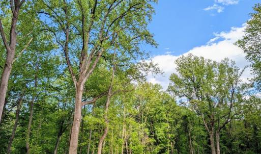 Photo #4 of 3964 HIDDEN VALLEY LN, LINDEN, VA 5.0 acres
