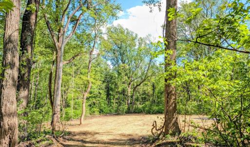 Photo #5 of 3964 HIDDEN VALLEY LN, LINDEN, VA 5.0 acres