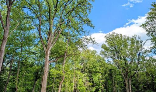 Photo #10 of 3964 HIDDEN VALLEY LN, LINDEN, VA 5.0 acres