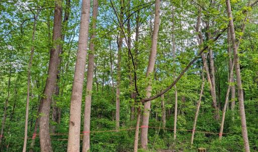 Photo #11 of 3964 HIDDEN VALLEY LN, LINDEN, VA 5.0 acres