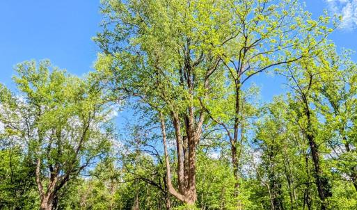 Photo #12 of 3964 HIDDEN VALLEY LN, LINDEN, VA 5.0 acres