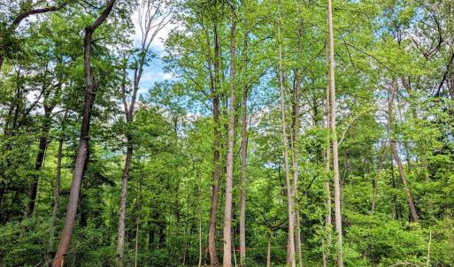Photo #14 of 3964 HIDDEN VALLEY LN, LINDEN, VA 5.0 acres