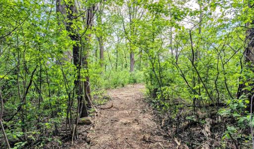 Photo #15 of 3964 HIDDEN VALLEY LN, LINDEN, VA 5.0 acres