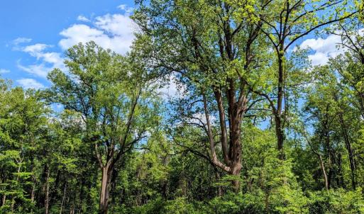 Photo #16 of 3964 HIDDEN VALLEY LN, LINDEN, VA 5.0 acres