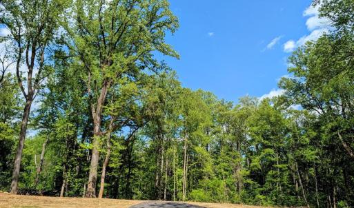 Photo #23 of 3964 HIDDEN VALLEY LN, LINDEN, VA 5.0 acres