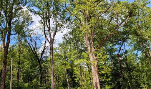 Photo #24 of 3964 HIDDEN VALLEY LN, LINDEN, VA 5.0 acres