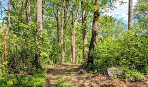 Photo #26 of 3964 HIDDEN VALLEY LN, LINDEN, VA 5.0 acres