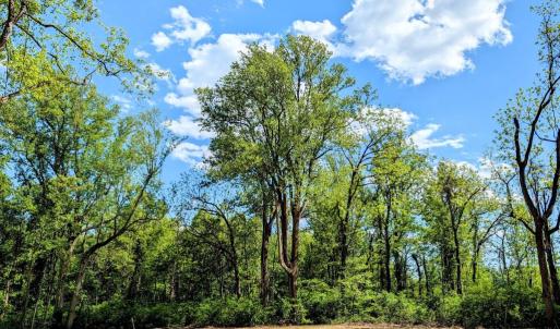 Photo #28 of 3964 HIDDEN VALLEY LN, LINDEN, VA 5.0 acres