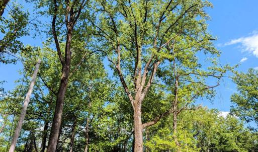 Photo #30 of 3964 HIDDEN VALLEY LN, LINDEN, VA 5.0 acres