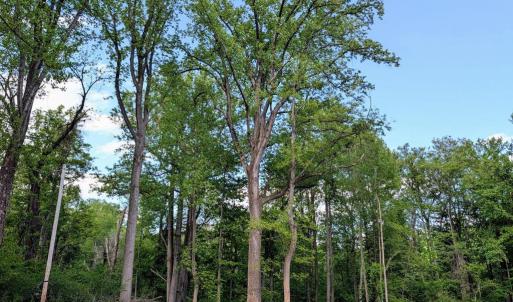 Photo #31 of 3964 HIDDEN VALLEY LN, LINDEN, VA 5.0 acres