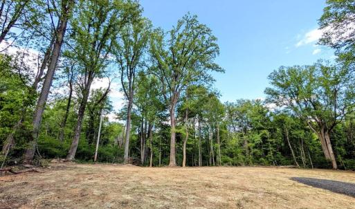 Photo #32 of 3964 HIDDEN VALLEY LN, LINDEN, VA 5.0 acres