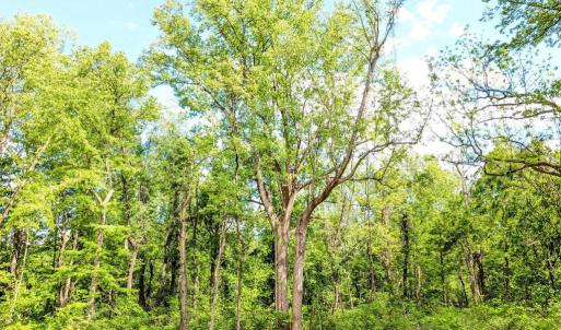 Photo #34 of 3964 HIDDEN VALLEY LN, LINDEN, VA 5.0 acres