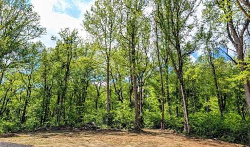 Photo #35 of 3964 HIDDEN VALLEY LN, LINDEN, VA 5.0 acres