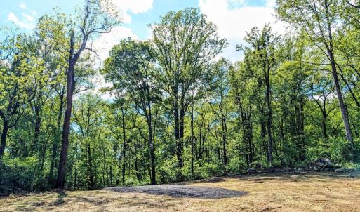 Photo #36 of 3964 HIDDEN VALLEY LN, LINDEN, VA 5.0 acres