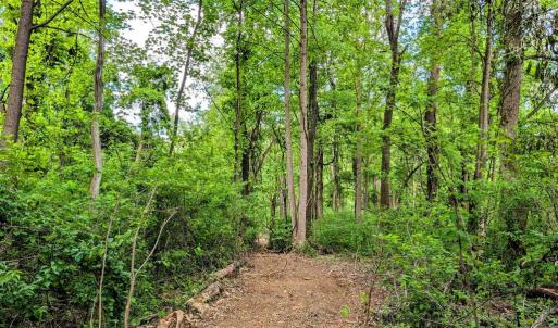 Photo #38 of 3964 HIDDEN VALLEY LN, LINDEN, VA 5.0 acres
