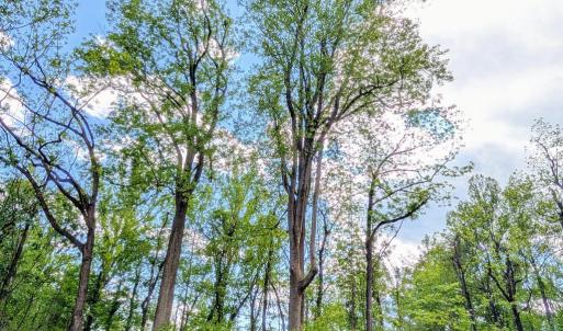 Photo #43 of 3964 HIDDEN VALLEY LN, LINDEN, VA 5.0 acres