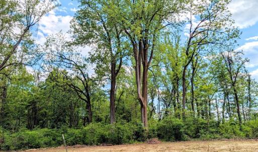 Photo #45 of 3964 HIDDEN VALLEY LN, LINDEN, VA 5.0 acres