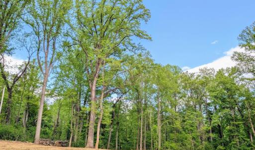 Photo #48 of 3964 HIDDEN VALLEY LN, LINDEN, VA 5.0 acres