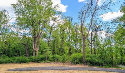 Photo #49 of 3964 HIDDEN VALLEY LN, LINDEN, VA 5.0 acres