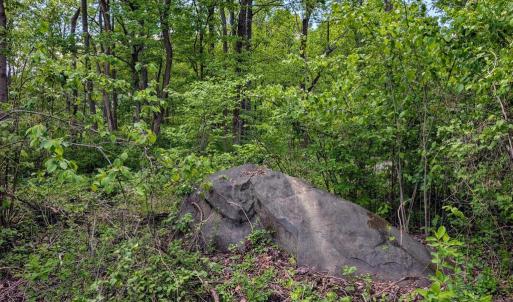 Photo #50 of 3964 HIDDEN VALLEY LN, LINDEN, VA 5.0 acres