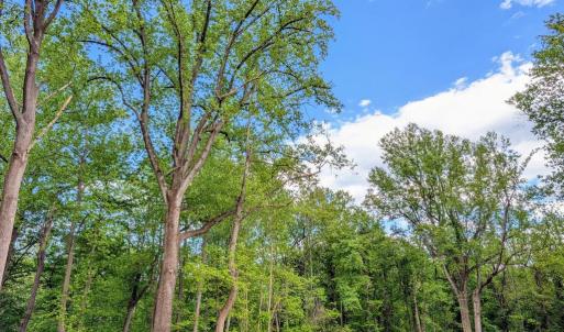 Photo #51 of 3964 HIDDEN VALLEY LN, LINDEN, VA 5.0 acres