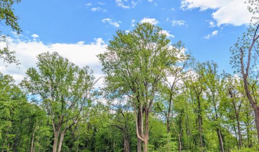 Photo #52 of 3964 HIDDEN VALLEY LN, LINDEN, VA 5.0 acres