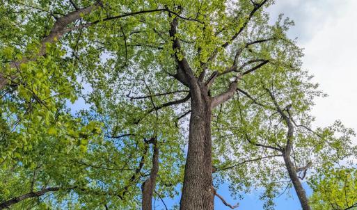 Photo #62 of 3964 HIDDEN VALLEY LN, LINDEN, VA 5.0 acres