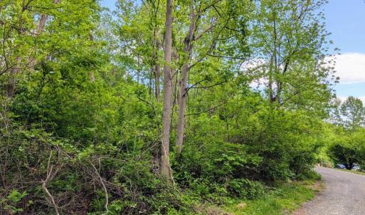 Photo #66 of 3964 HIDDEN VALLEY LN, LINDEN, VA 5.0 acres