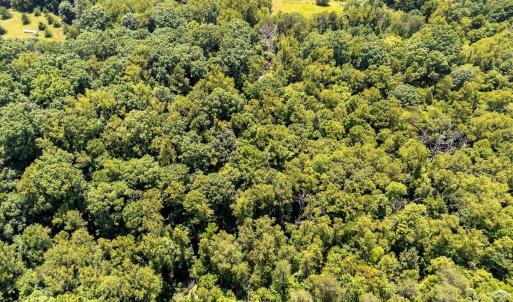 09-Lot 60 Lakepointe Cove Ct_09