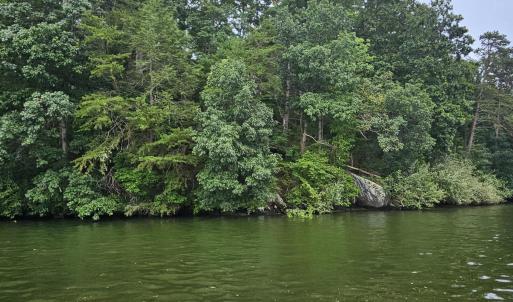 Longview Estates Lot 9 from water #4