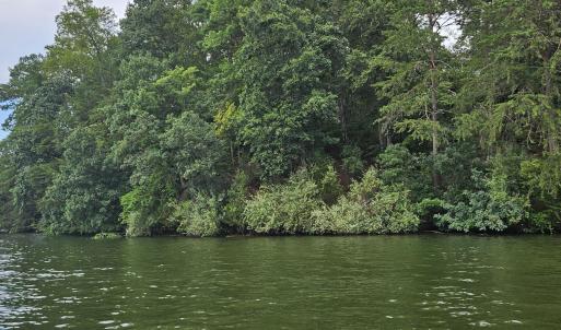 Longview Estates Lot 9 from water #6