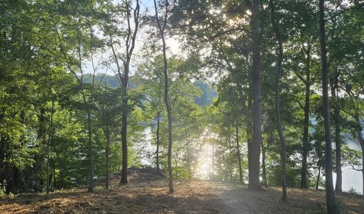 Longview Estates Lot 9 #47
