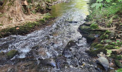 Stony Creek