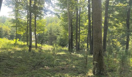 IMG_20250808_153150
