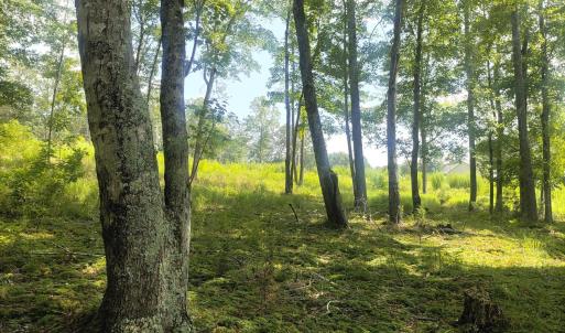 IMG_20250808_153146 (1)