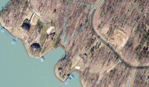 Screenshot 2025-08-12 at 4.20.59PM